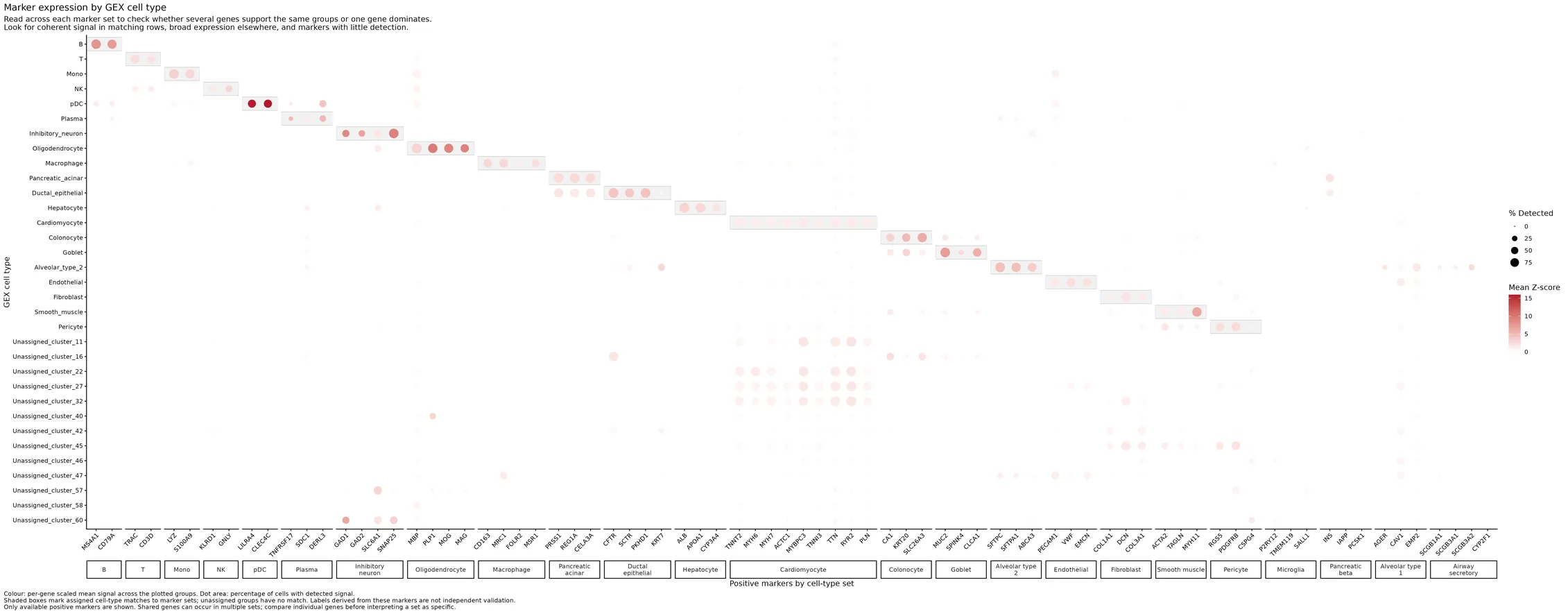 Pre-doublet-filtering marker expression per assigned GEX cell type.