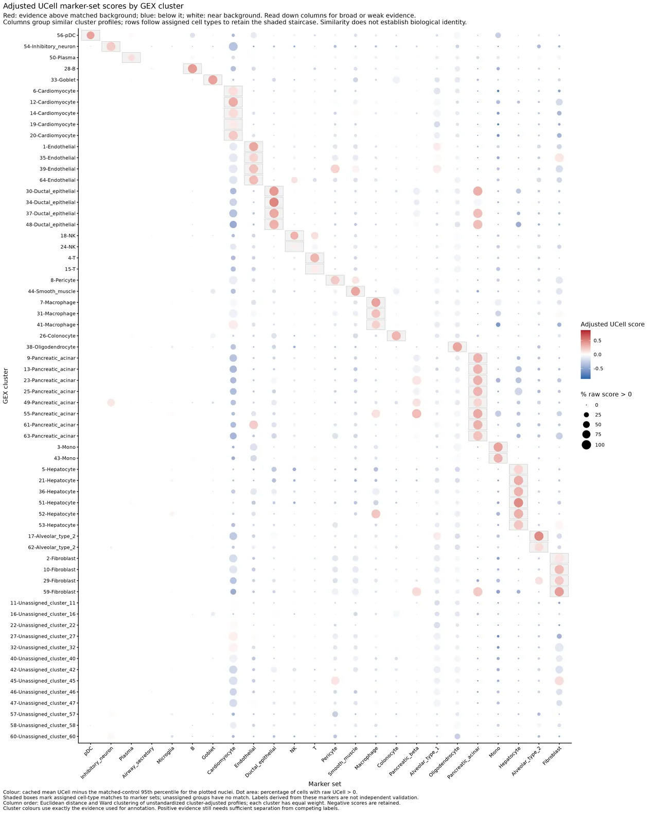 Cached pre-doublet-filtering cluster-adjusted UCell evidence with distance-ordered marker sets and matching row order.
