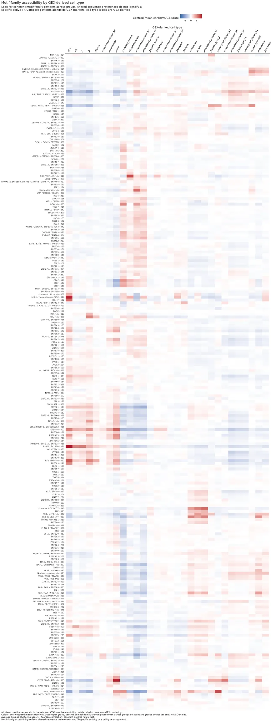 All motif families by GEX_cell_type with independently clustered rows and columns and GEX-derived labels.