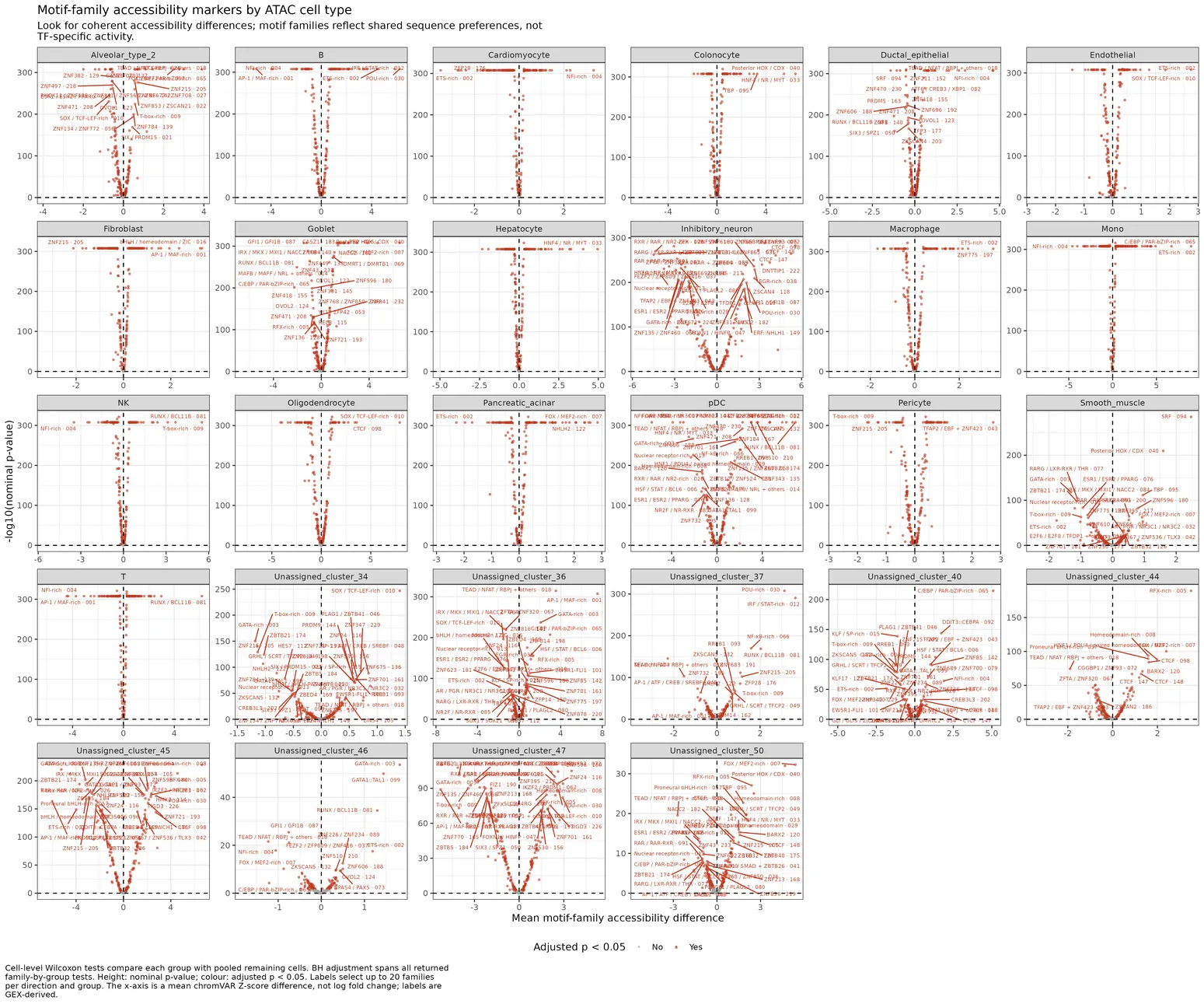 Facetted volcano plot of marker motif-family accessibility per ATAC cell type.