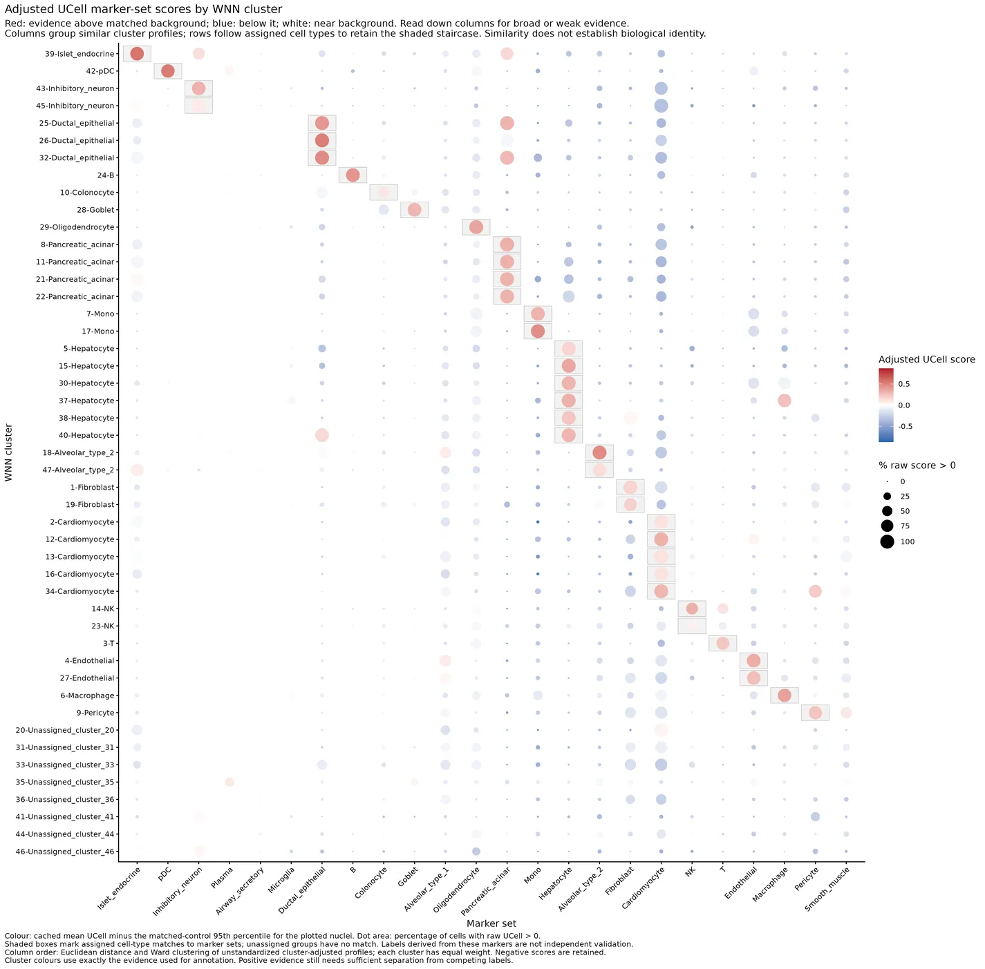 Cached adjusted GEX UCell evidence per WNN cluster, with distance-ordered marker sets.