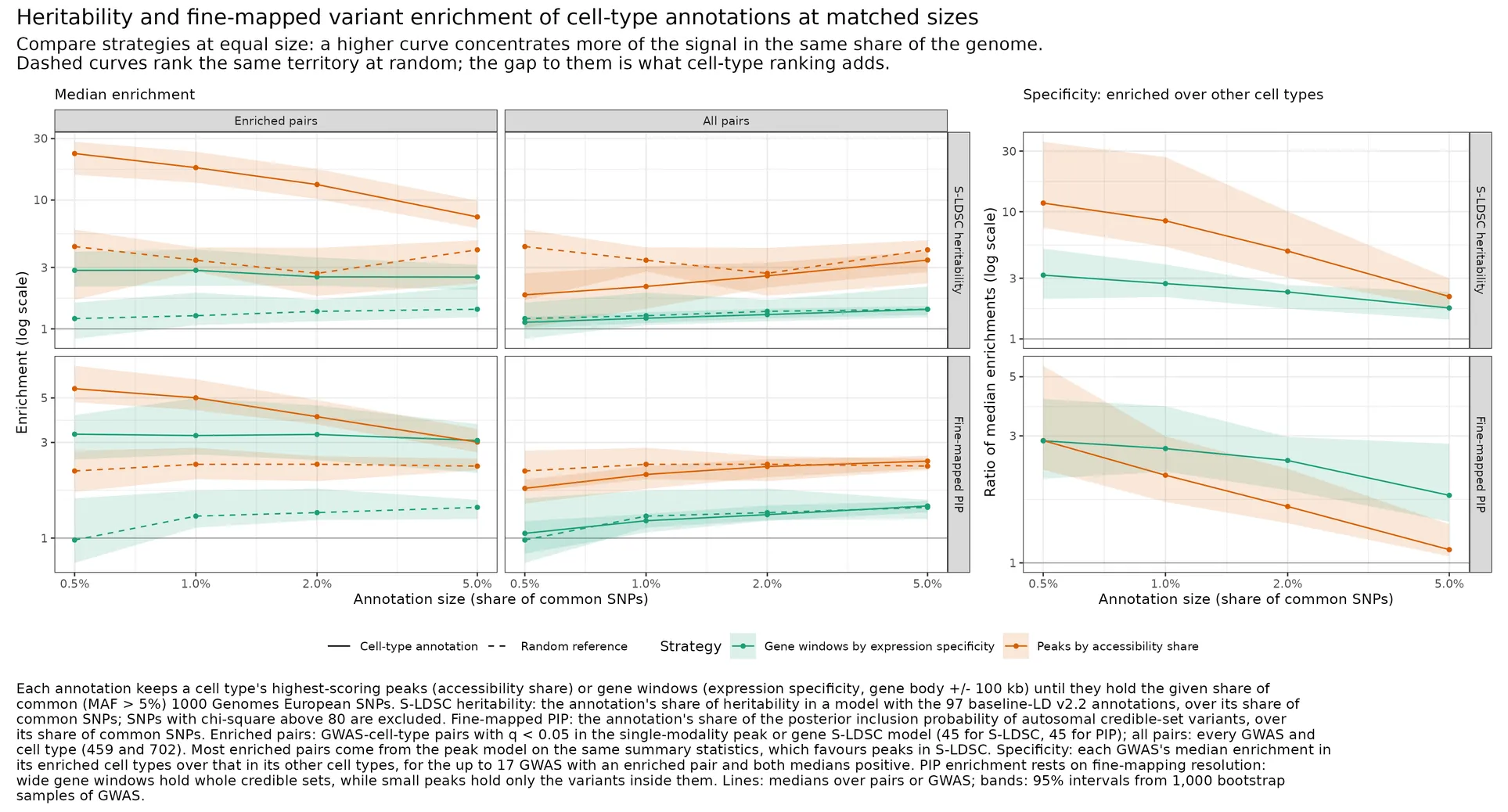 Save S-LDSC heritability and fine-mapped PIP enrichment of peak and gene annotations against annotation size.