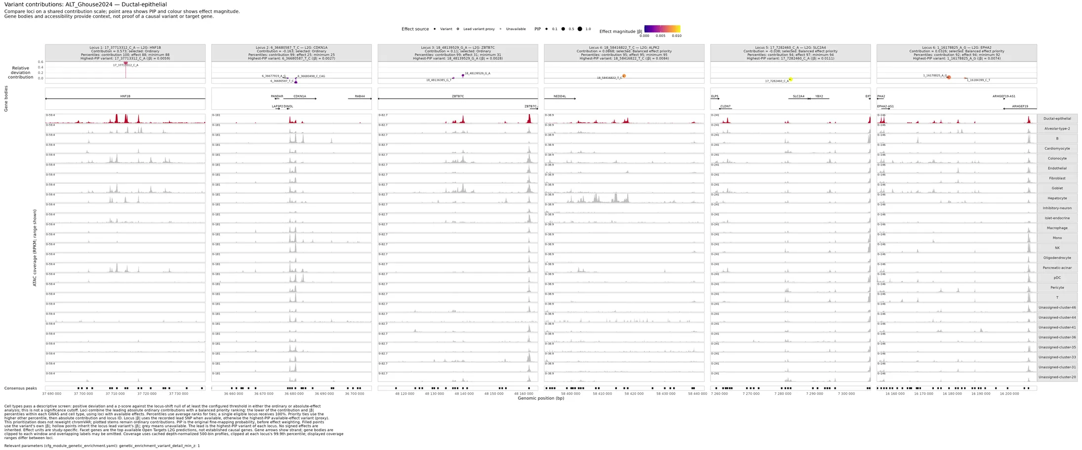 Save aligned locus facets with variant effects, gene bodies, ATAC coverage, and peaks per GWAS and focal cell type.